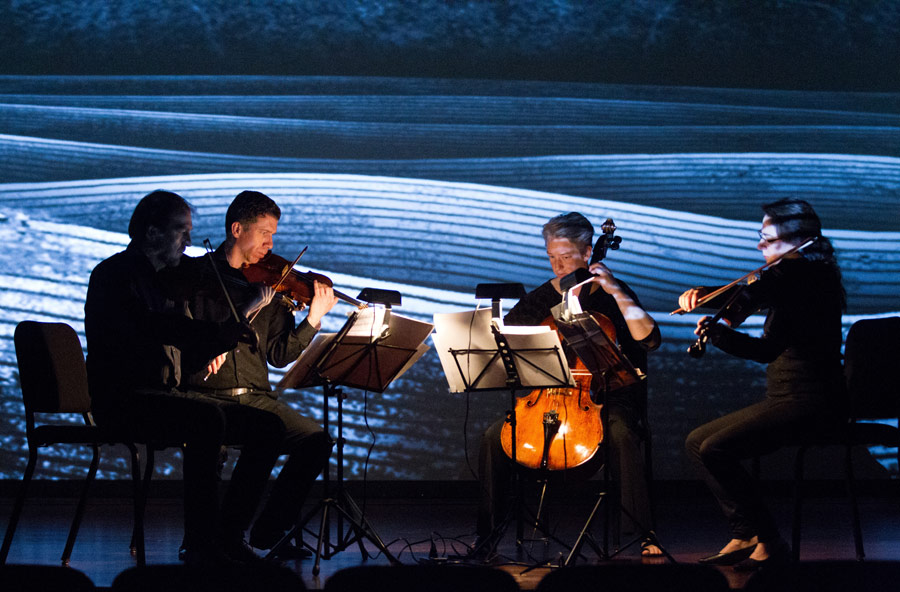 The Penderecki String Quartet performs Thomas Adès' “Arcadiana” to an animation by Mike Patterson & Candace Reckinger (Photo/David Johnston)