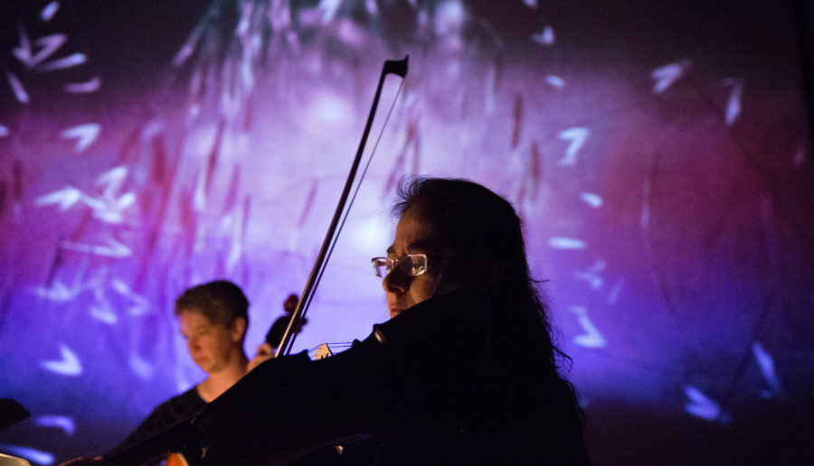 Violist Christine Vlajk of the Penderecki String Quartet performs Thomas Adès' “Arcadiana” to an animation by Mike Patterson & Candace Reckinger (Photo/David Johntson)