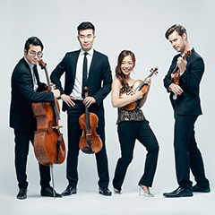 Four strings musicians on a white backdrop pose with their instruments