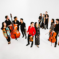 Many musicians with string insruments stand together in a white room