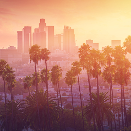 A sunset cityscape of Los Angeles with palm trees.