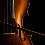 Close up photograph of a classical string instrument.